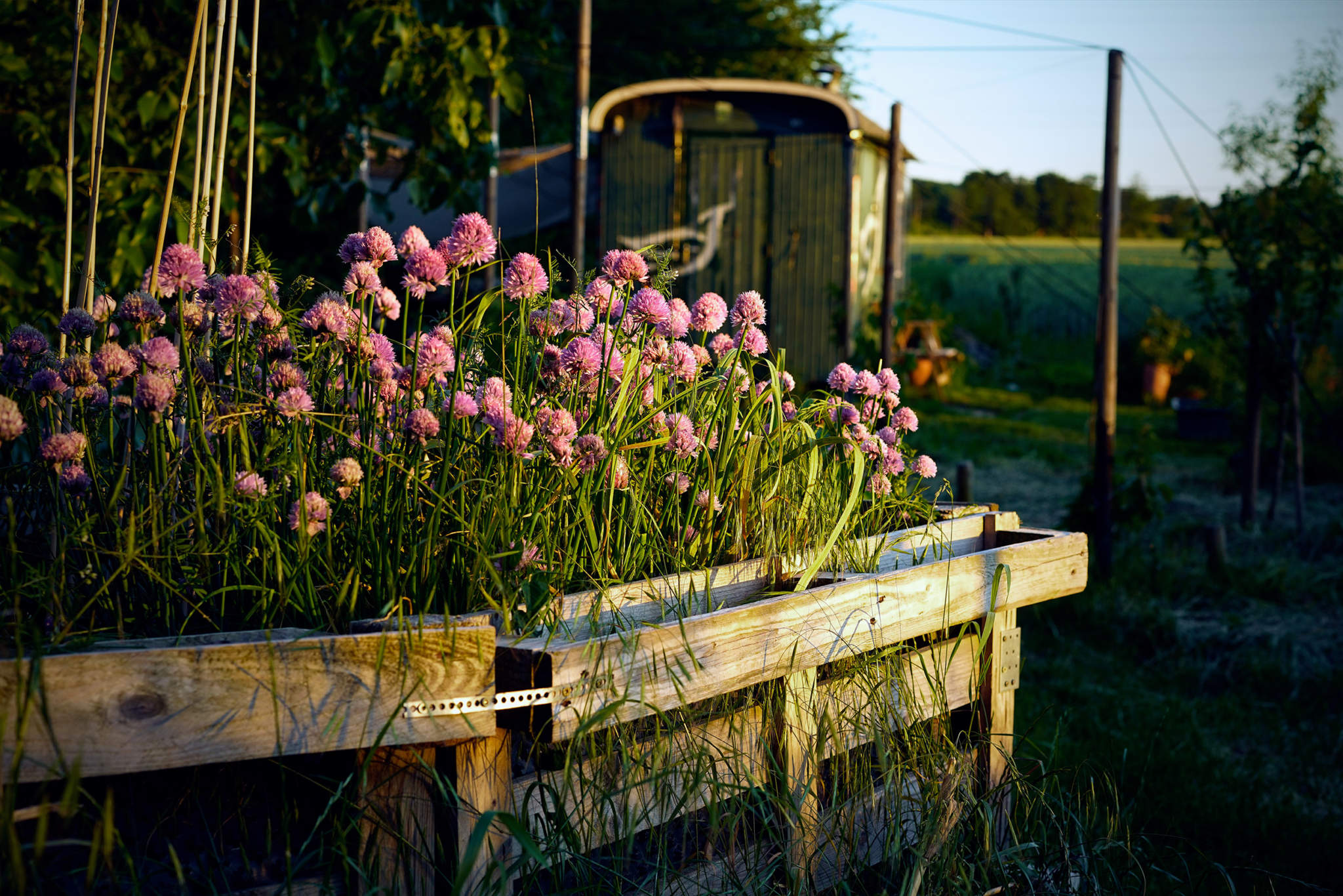 Naturgarten Liebigstraße